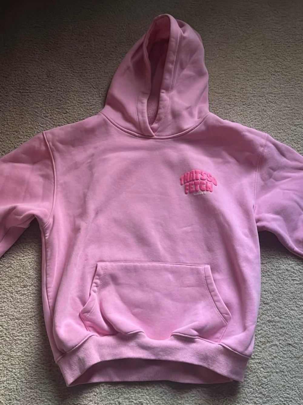 Soft Pink Pullover Hoodie with Small 'Honestly Fetch' Chest Graphic